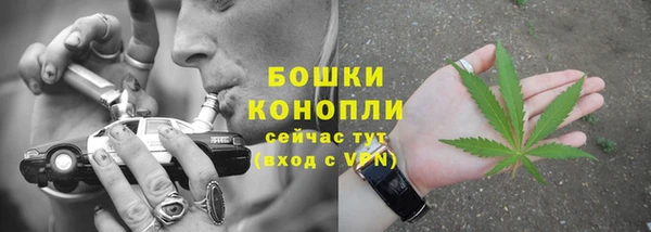 a pvp Белокуриха