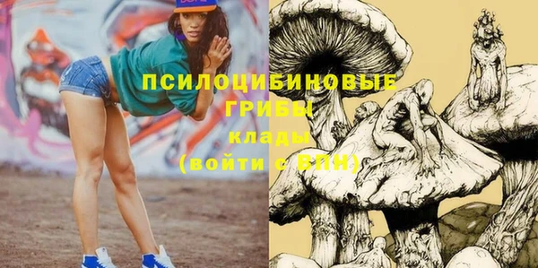 спиды Белоозёрский