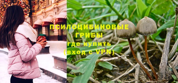 спиды Белоозёрский
