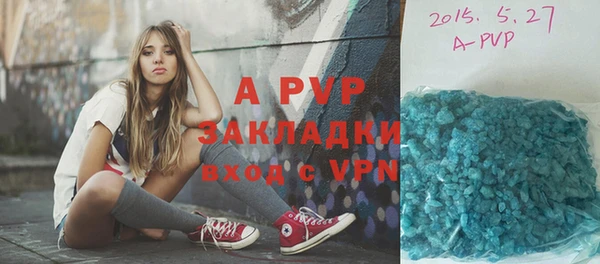 a pvp Белокуриха