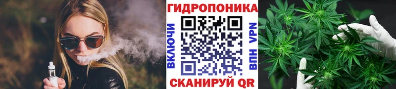 купить наркотики цена  Цивильск  Конопля планчик 